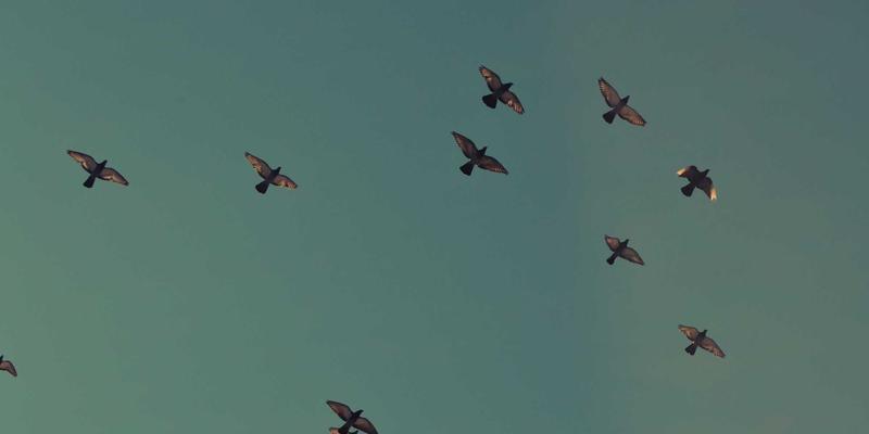 DRJRJ3：引领医疗健康新纪元，智能专家预约如何重塑就医体验