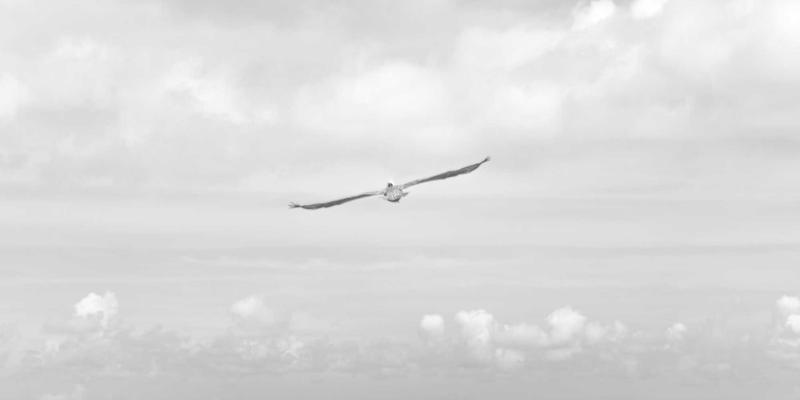 DRJRJ41时代:医生服务如何重塑医疗健康新生态