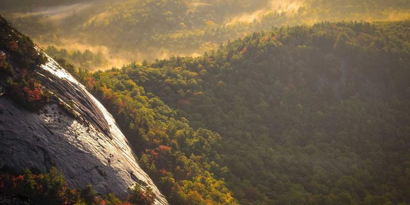 DRJRJ4专家预约平台：重新定义您的医生服务体验