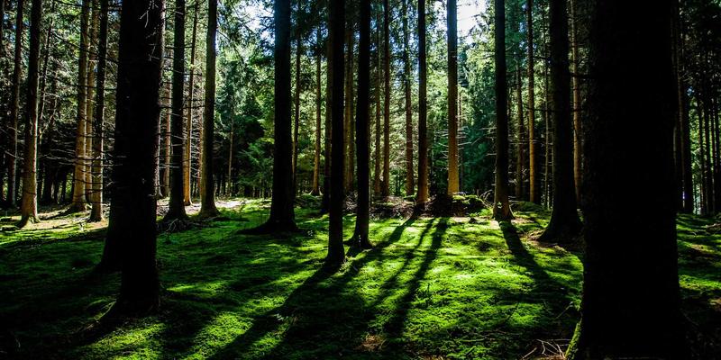 DRJRJ62：开启精准健康管理新时代，一站式专家预约解决方案