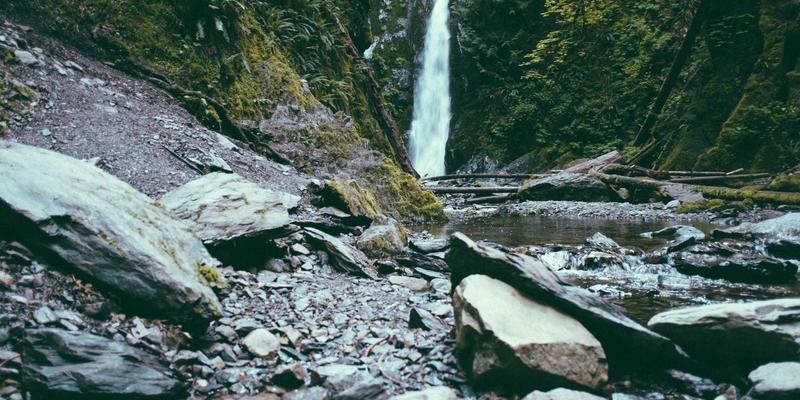 DRJRJ优势解析：如何通过专家预约与健康管理重塑您的在线医疗体验