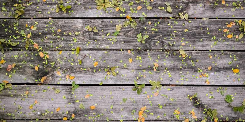 DRJRJ如何赋能金融风控：从健康管理到实时反欺诈监测的创新实践