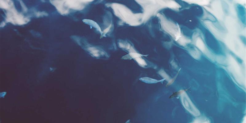 DRJRJ如何重塑医疗供应链：从专家预约到药品溯源的全程透明化革命