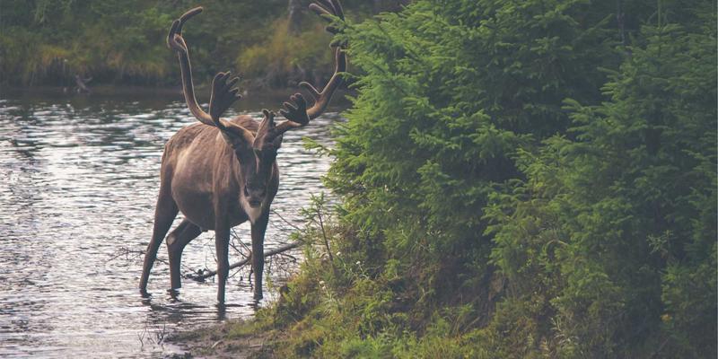 DRJRJ引领医疗健康新趋势：隐私保护型在线心理咨询与专家预约的革新实践