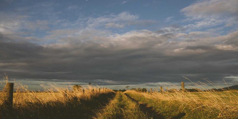 DRJRJ技术如何为文化遗产守护者提供“医生服务”：古建筑微环境监测与预防性保护系统