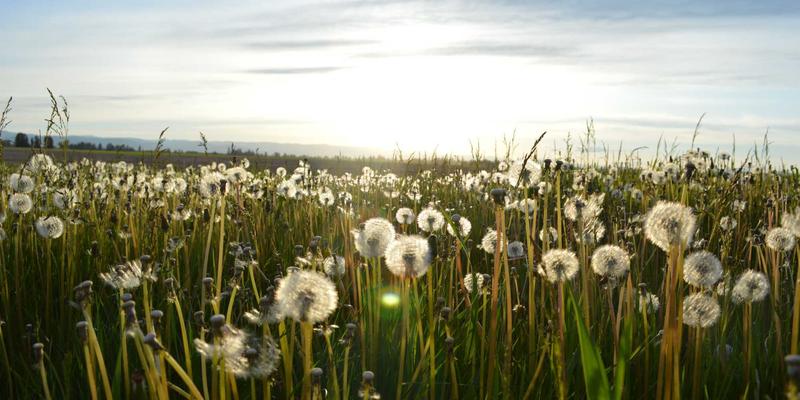 DRJRJ技术如何重塑在线医疗咨询？多模态识别赋能医生服务与内容审核