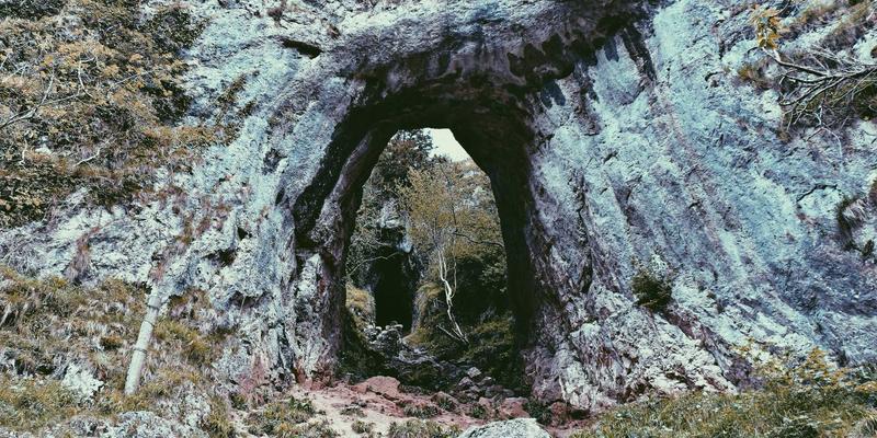 DRJRJ技术赋能智慧农业：精准灌溉如何革新农业生产与资源管理