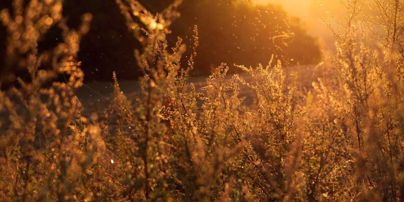 DRJRJ赋能数字孪生城市：重塑医疗健康与医生服务新生态