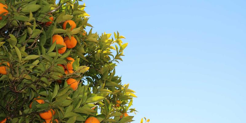 医疗健康新基建：基于DRJRJ的供应链可视化与全链路追溯系统如何重塑专家预约与在线医疗咨询